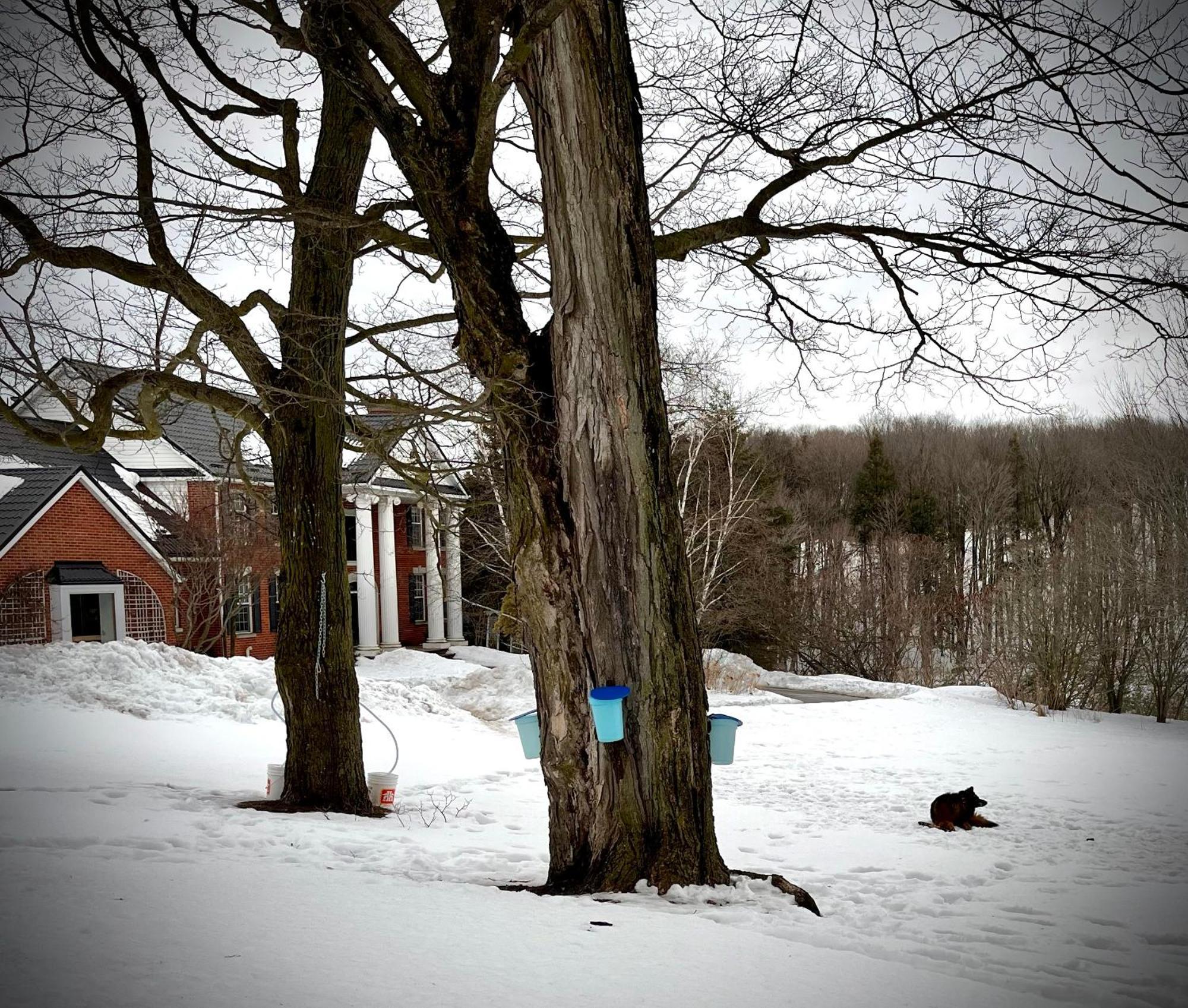 Caledon Manor And Country Inn Bagian luar foto