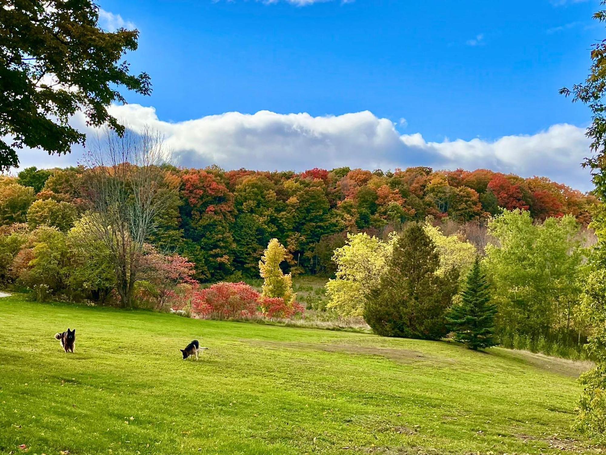 Caledon Manor And Country Inn Bagian luar foto