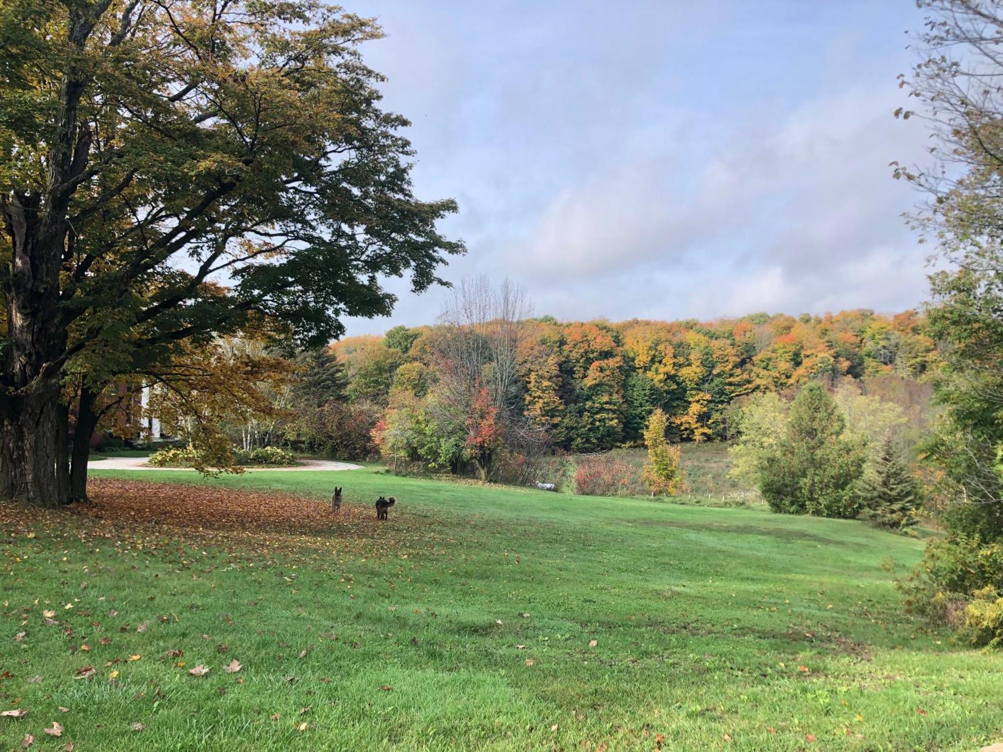Caledon Manor And Country Inn Bagian luar foto
