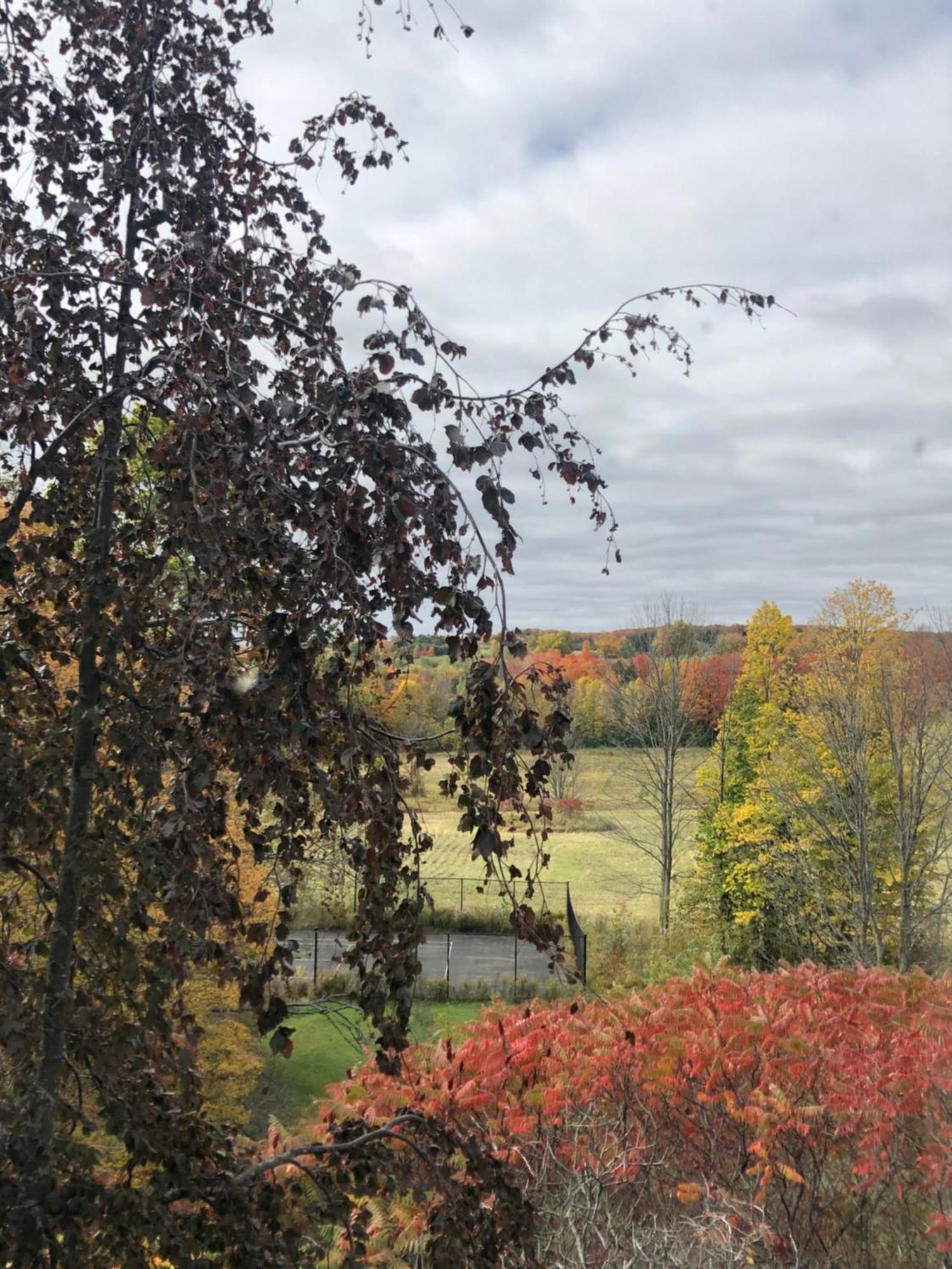 Caledon Manor And Country Inn Bagian luar foto